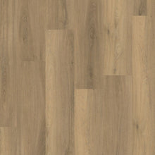 Paddington dryback natural – afbeelding 1