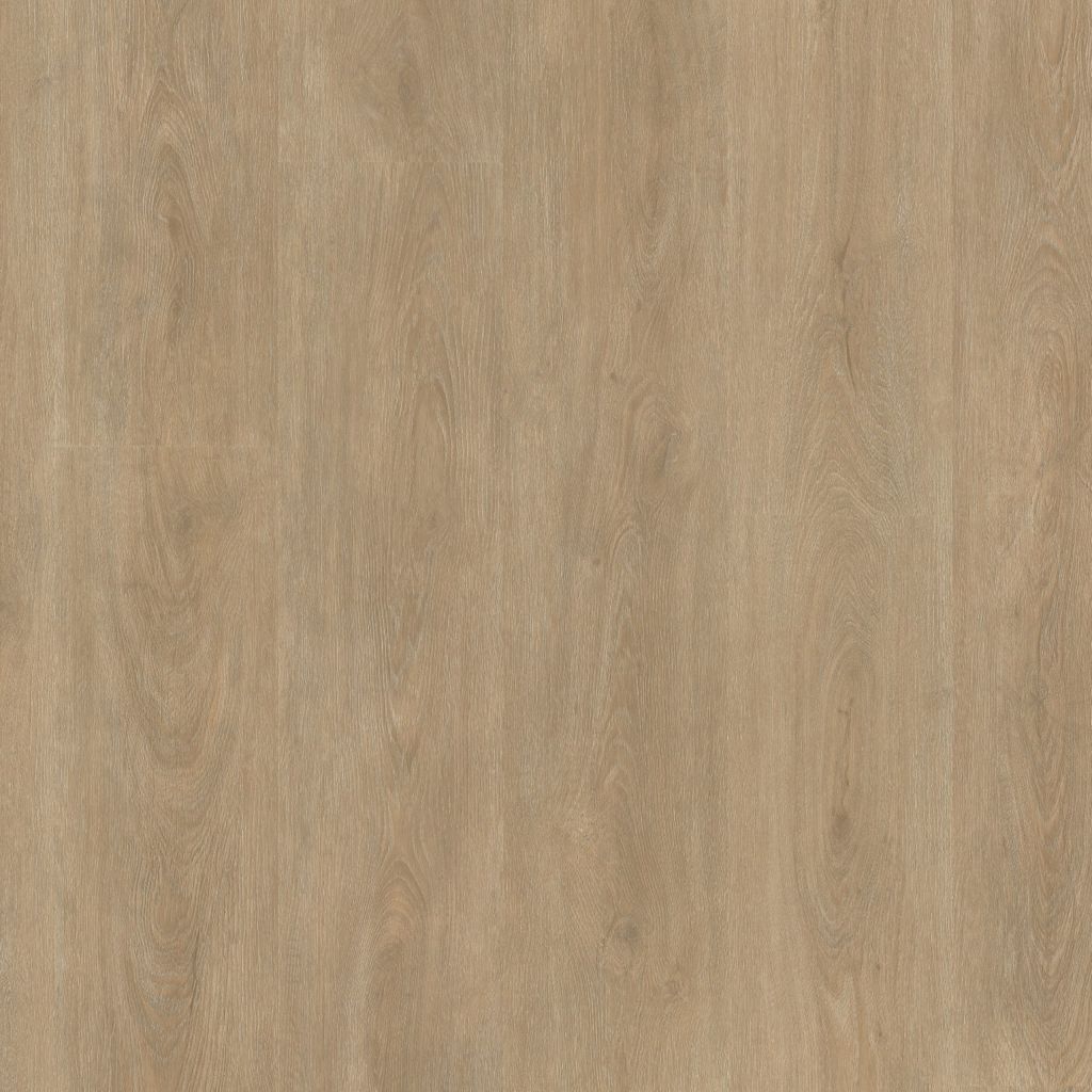 Parramatta dryback natural
