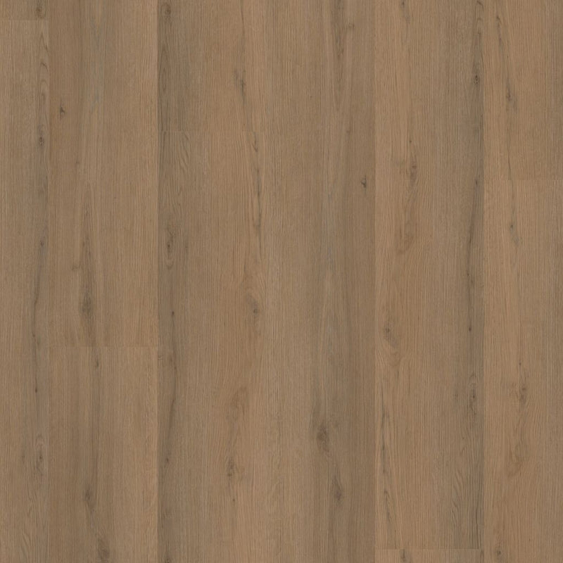 Barnet dryback dark oak