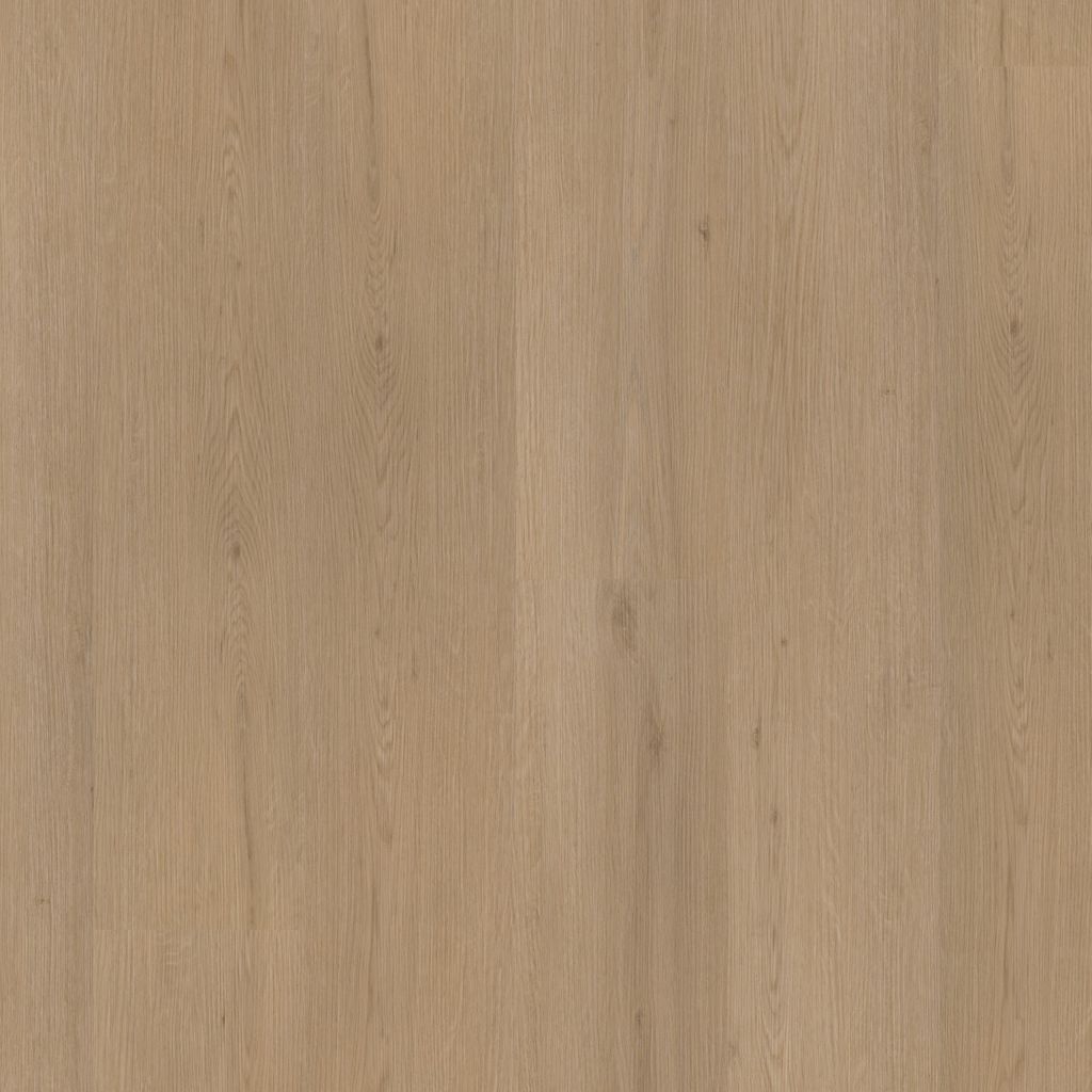 Barnet dryback natural oak