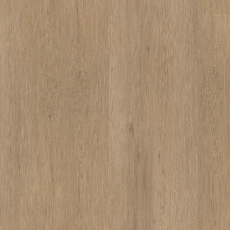 Barnet dryback natural oak