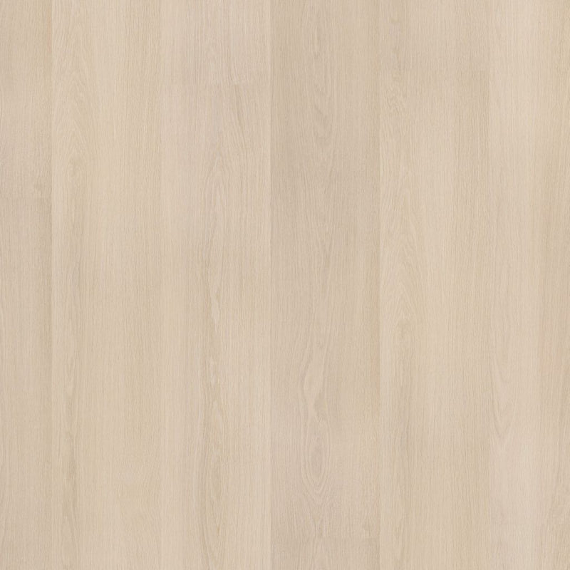 Brentford dryback beige