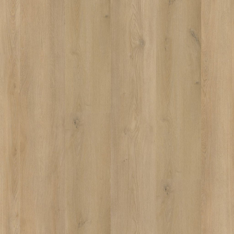 Greenwich dryback beige