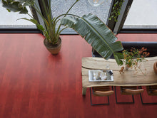 Finsbury dryback red – afbeelding 3