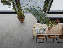 Ealing dryback grey – afbeelding 3