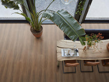 Parramatta click SRC warm brown – afbeelding 3
