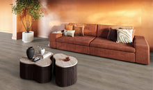 Parramatta click SRC smoky – afbeelding 2