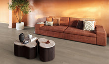 Barnet click smoky – afbeelding 2