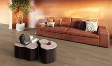 Barnet dryback dark oak – afbeelding 2