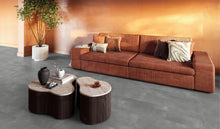 Ealing dryback grey – afbeelding 2