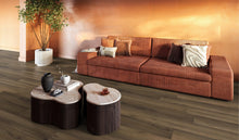 Paddington dryback warm brown – afbeelding 2