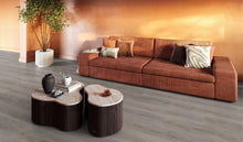 Parramatta dryback grey oak – afbeelding 2