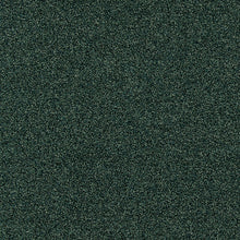 Interfloor Planet Project-SDN tapijt kleur 931