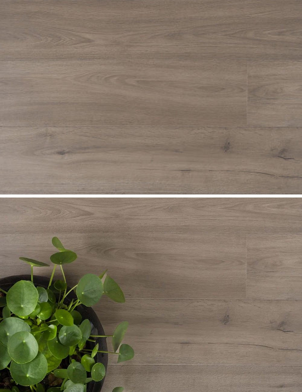 Douwes Dekker Solide Plank Marjolein - Trots Laminaat - 04684