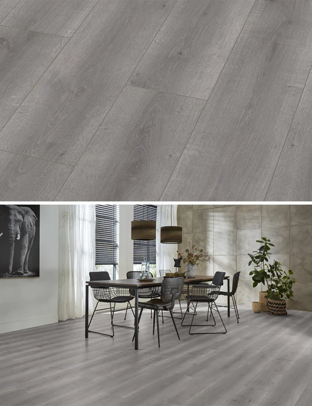 Floorlife Laminaat Houtlook Queens Grijs Eiken 6401