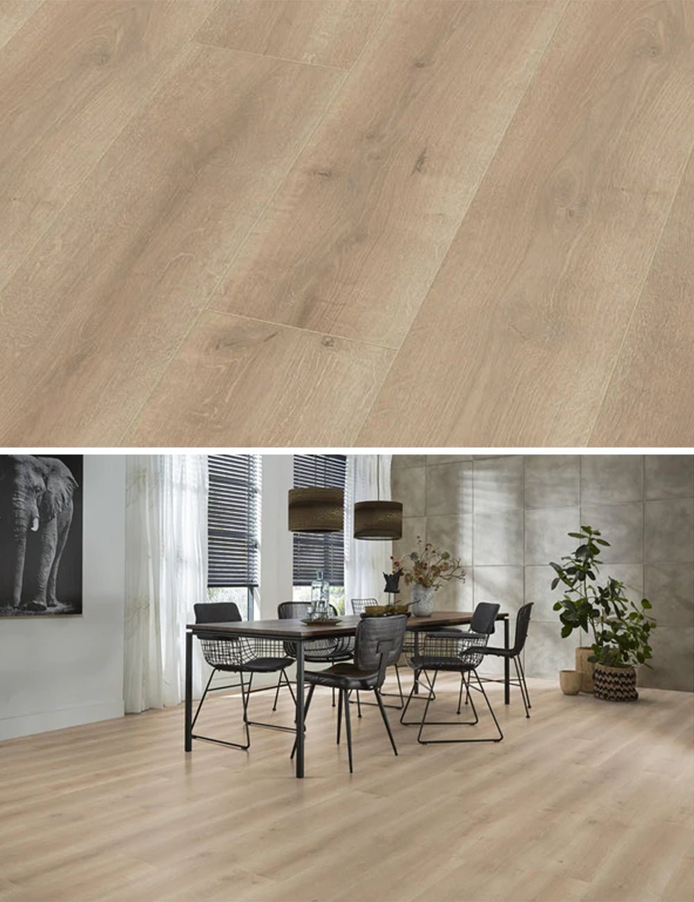 Floorlife Laminaat Houtlook Queens Naturel Eiken 6400